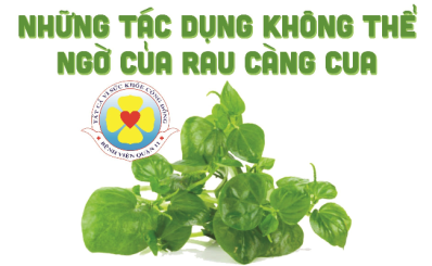 Những tác dụng không thể ngờ của rau càng cua